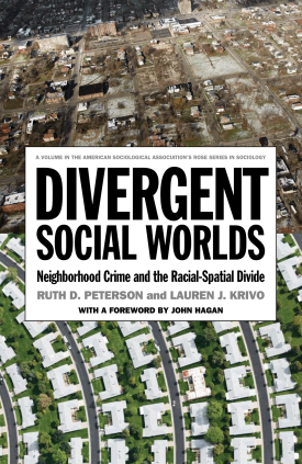 Cover image of the book Divergent Social Worlds